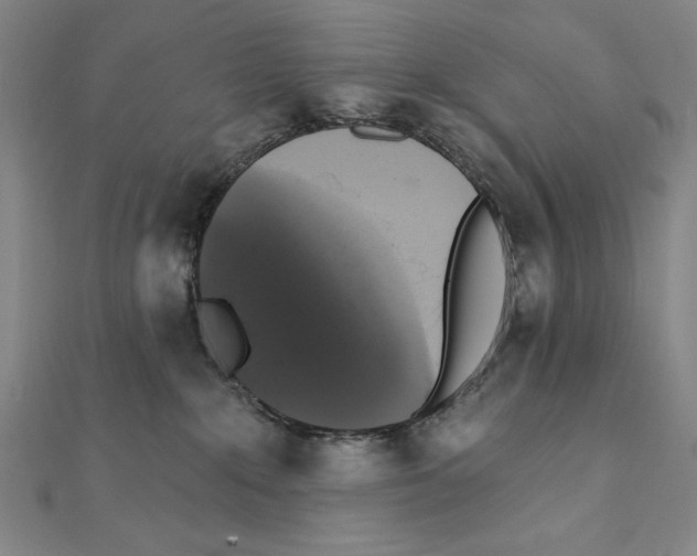 X0000111480235200908111208