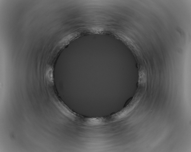 X0000111480238200908111208