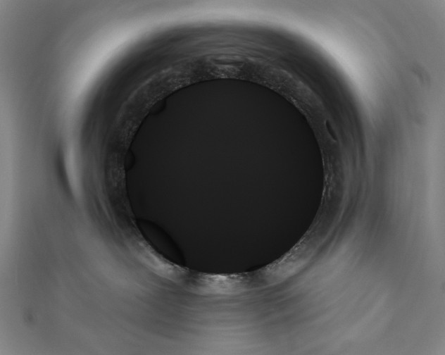 X0000111480239200908111208