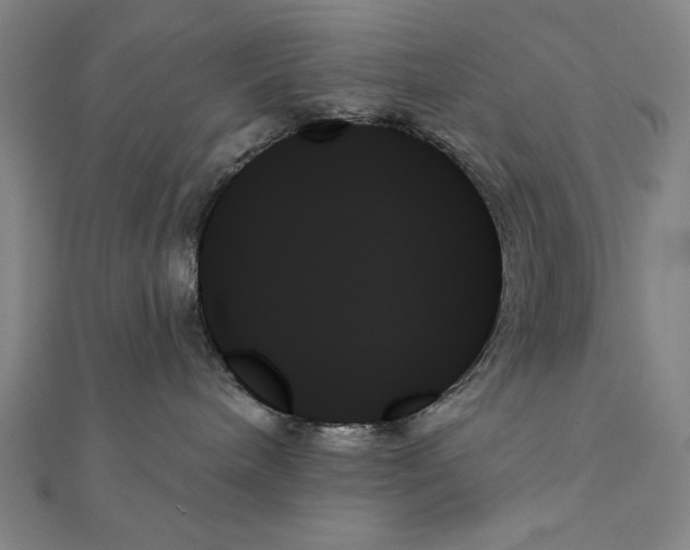 X0000111480240200908111208