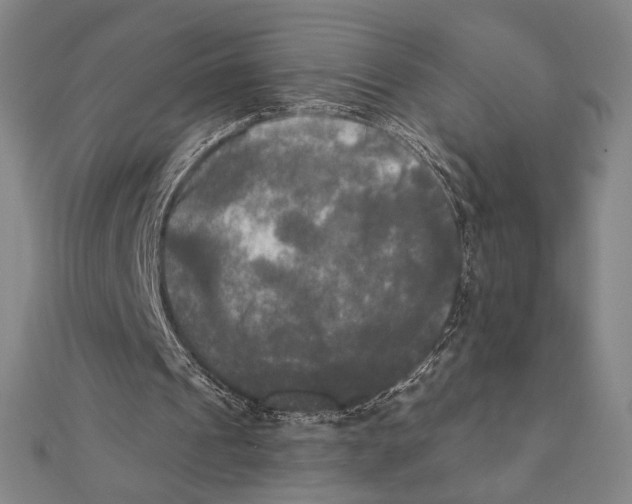 X0000111480241200908111208