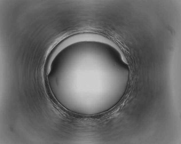 X0000111480244200908111208