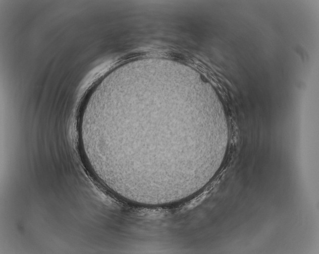 X0000111480245200908111208