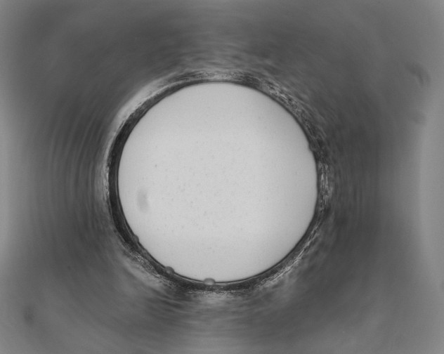 X0000111480246200908111208