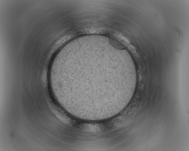 X0000111480250200908111208