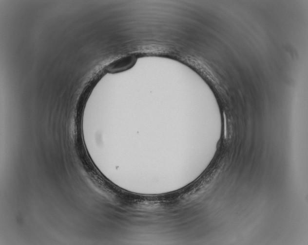 X0000111480252200908111208