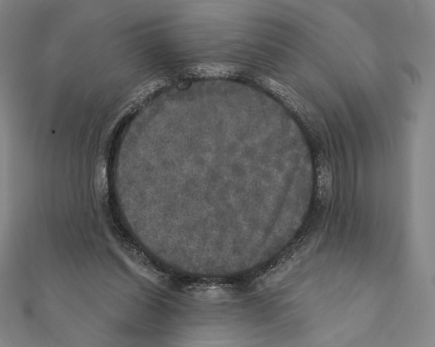 X0000111480254200908111208