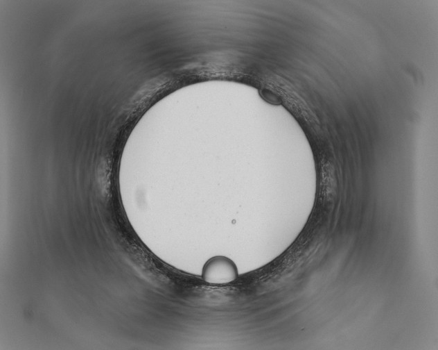 X0000111480255200908111208