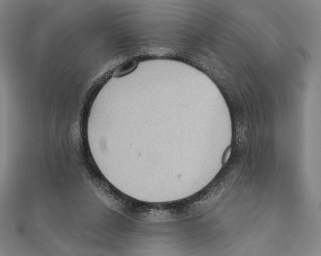 X0000111480256200908111208