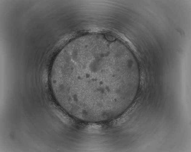X0000111480257200908111208