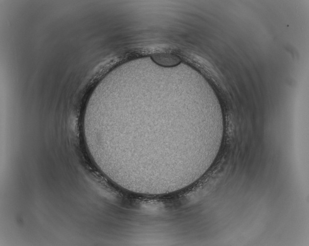 X0000111480258200908111208
