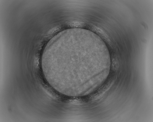 X0000111480259200908111208