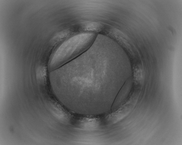 X0000111480260200908111208