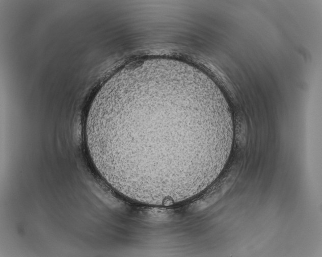 X0000111480261200908111208
