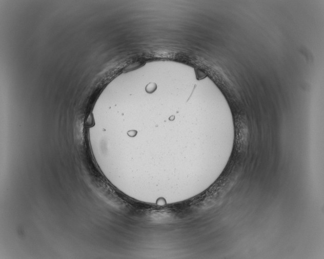 X0000111480262200908111208