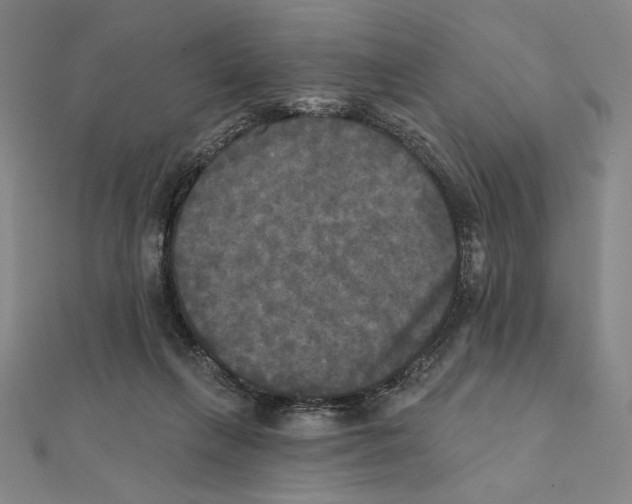 X0000111480263200908111208