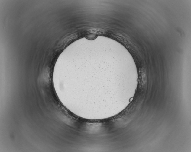 X0000111480266200908111208
