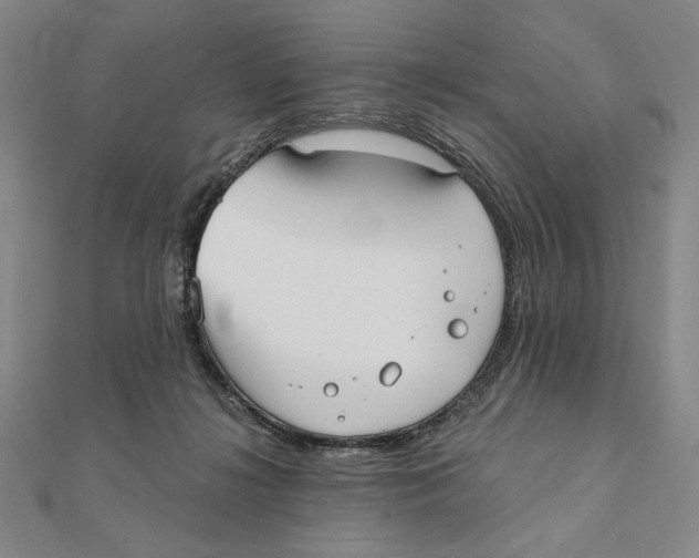 X0000111480268200908111208