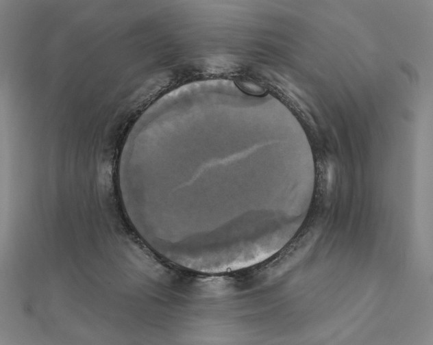 X0000111480269200908111208