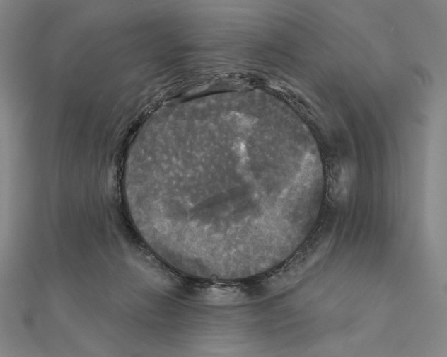 X0000111480270200908111208