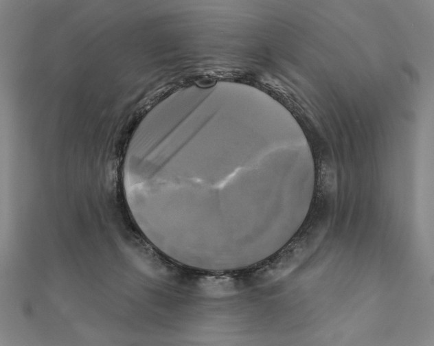 X0000111480271200908111208