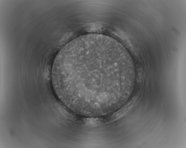 X0000111480273200908111208