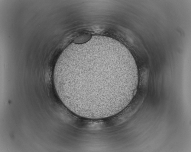 X0000111480274200908111208