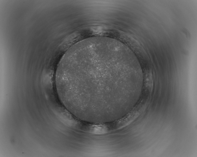 X0000111480275200908111208