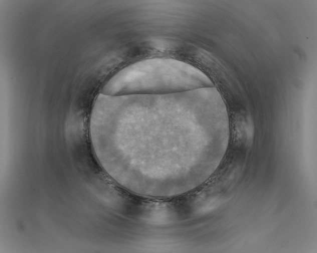 X0000111480276200908111208
