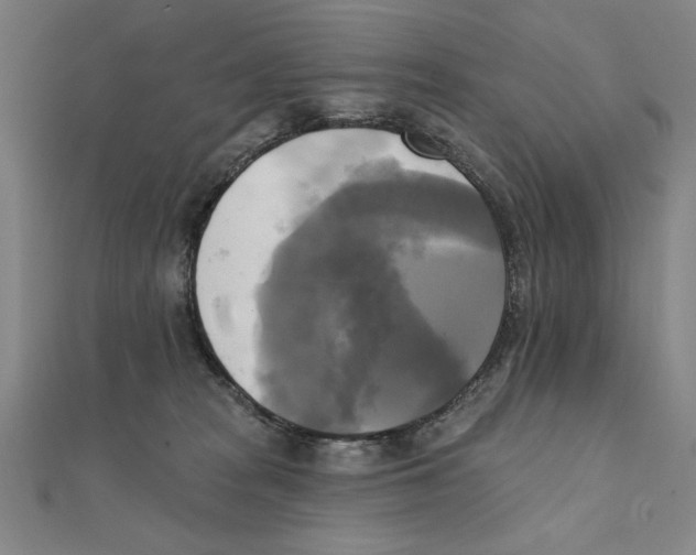 X0000111480277200908111208