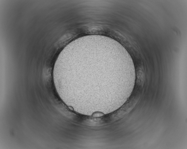 X0000111480278200908111208