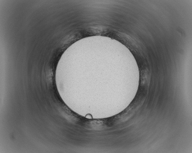 X0000111480279200908111208
