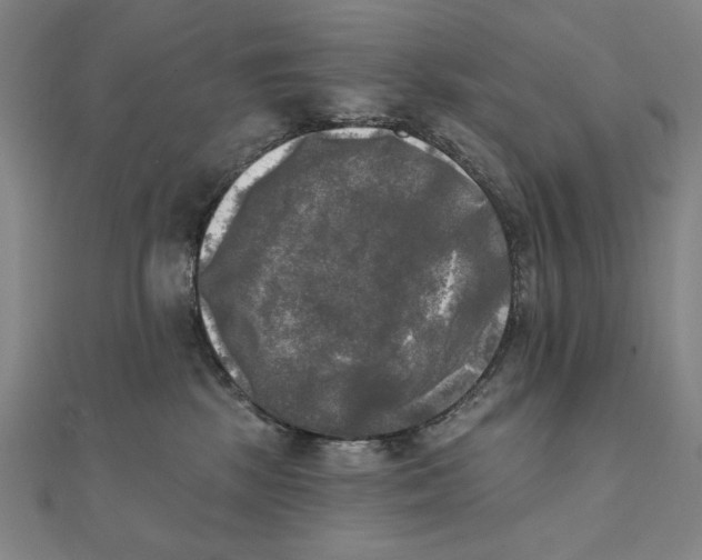 X0000111480281200908111208