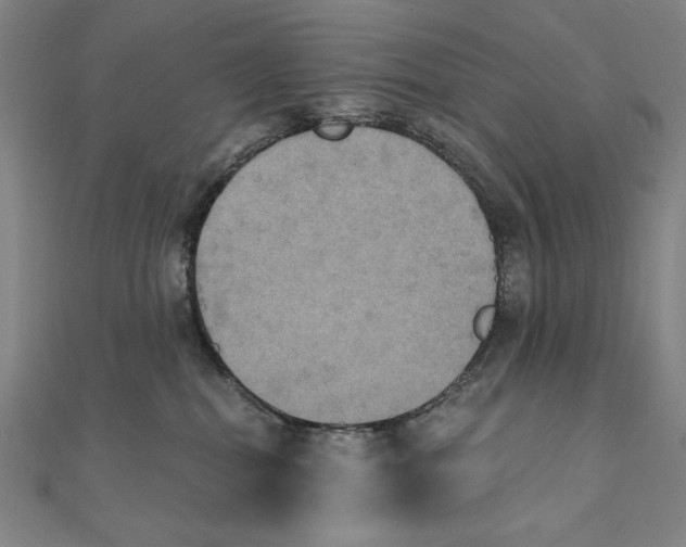 X0000111480282200908111208