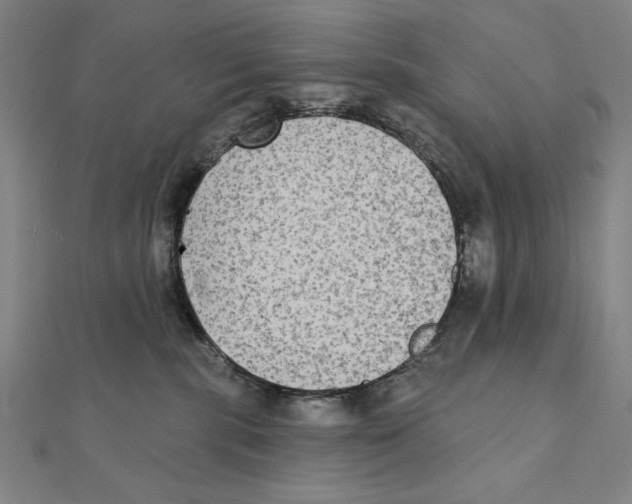 X0000111480283200908111208