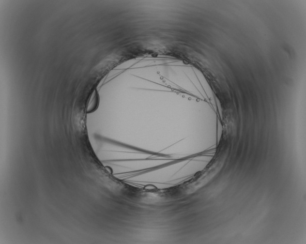 X0000111480285200908111208