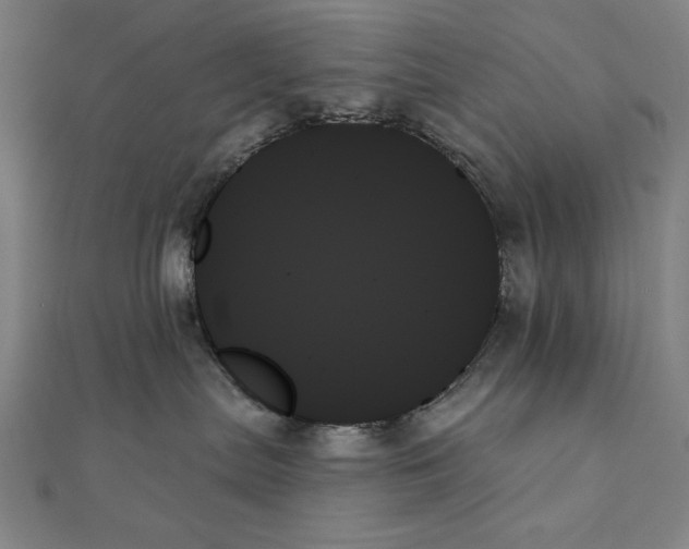 X0000111480287200908111208