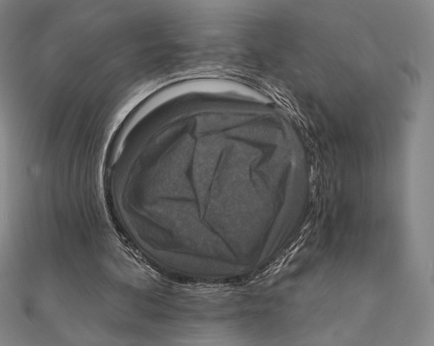X0000111480292200908111208