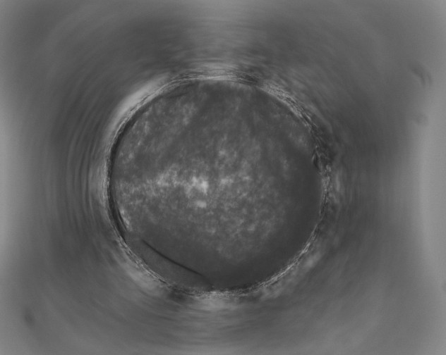X0000111480293200908111208
