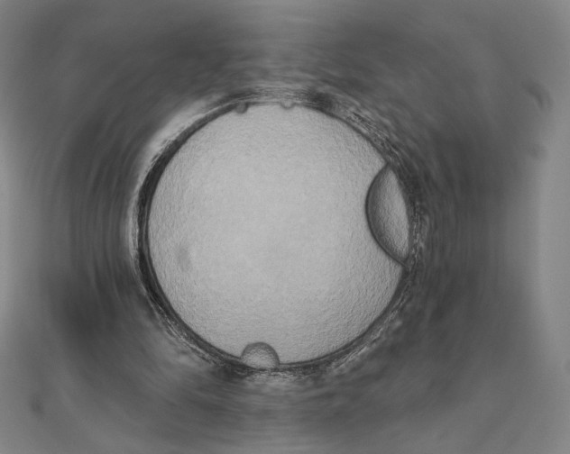 X0000111480294200908111208