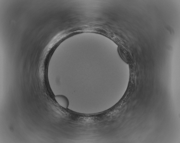 X0000111480295200908111207