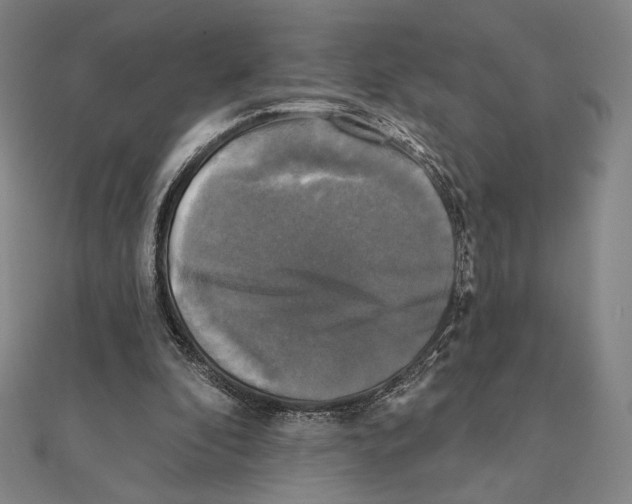 X0000111480296200908111207
