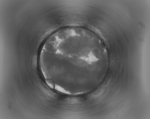 X0000111480299200908111207