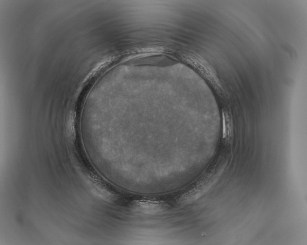 X0000111480300200908111207
