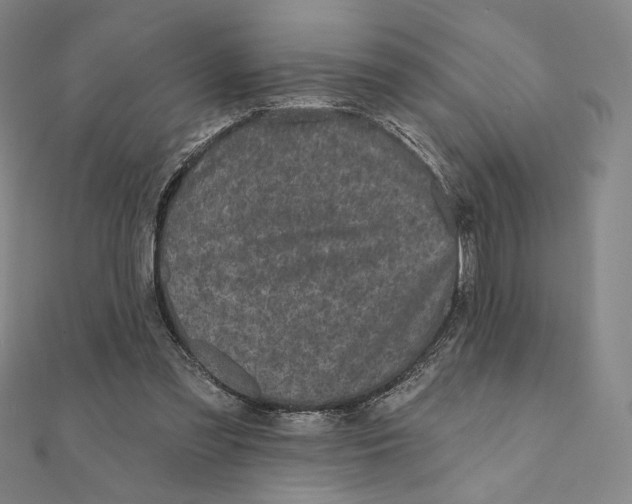 X0000111480301200908111207
