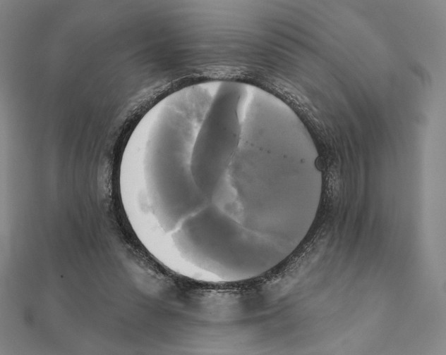 X0000111480303200908111207