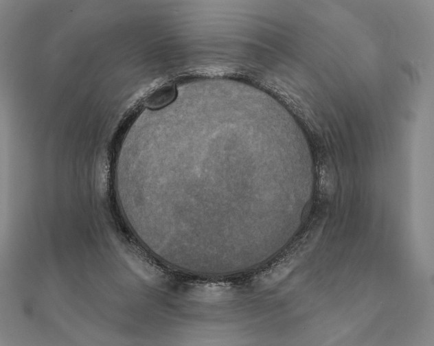 X0000111480304200908111207