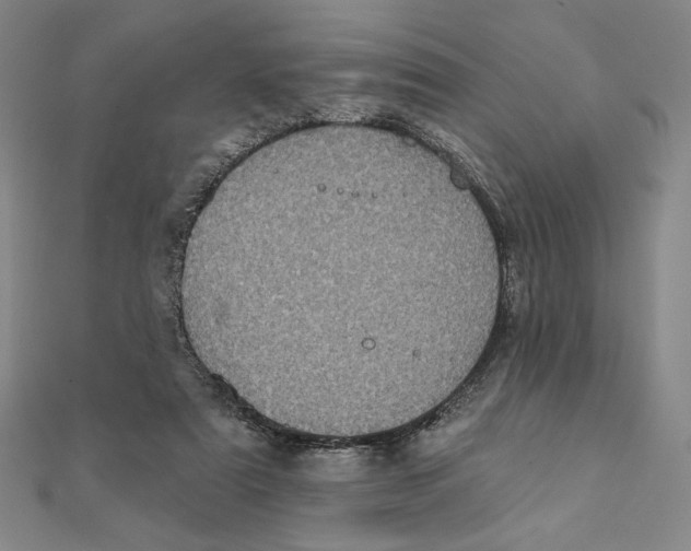 X0000111480307200908111207