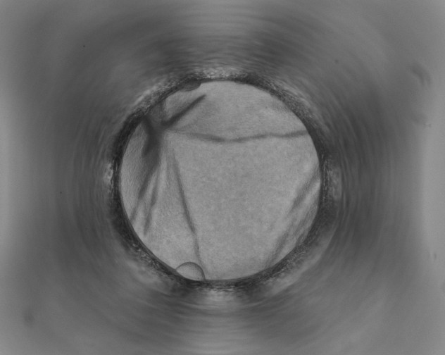 X0000111480308200908111207