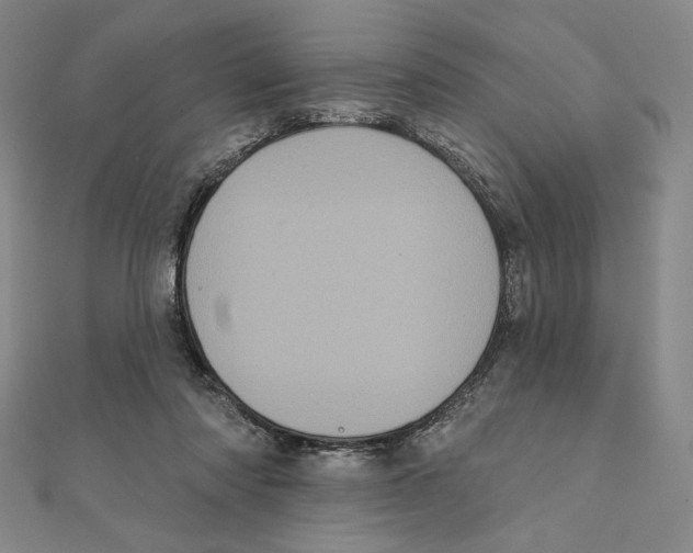 X0000111480310200908111207